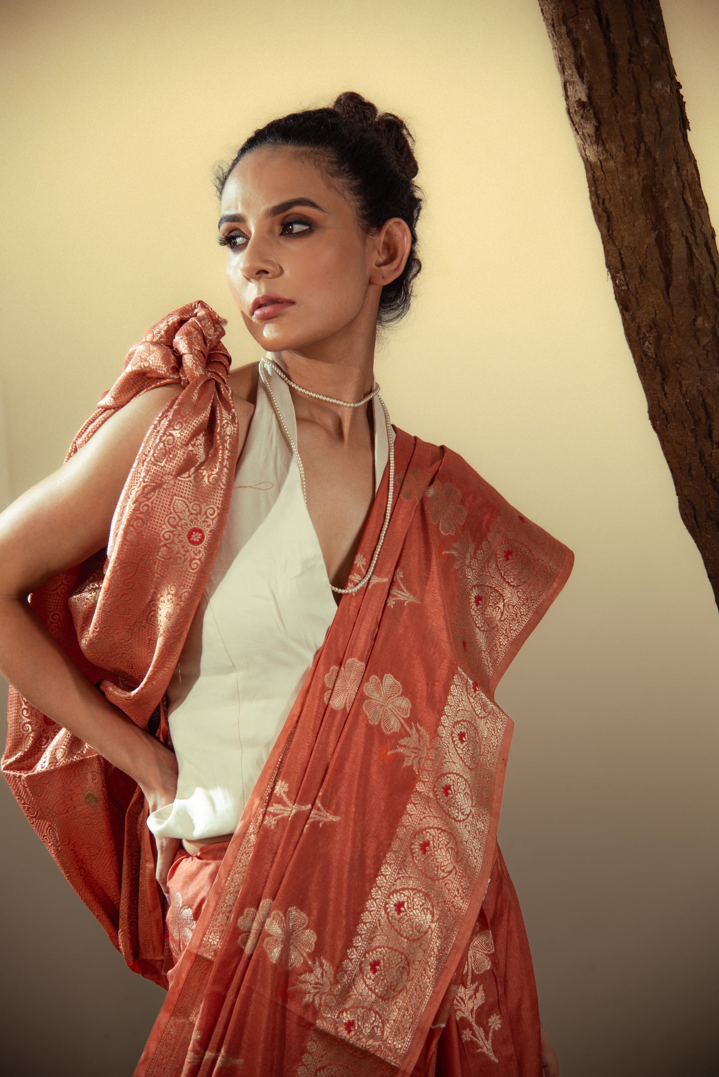 Dupiyan Silk Banarasi Pre Draped Saree with Meena Work